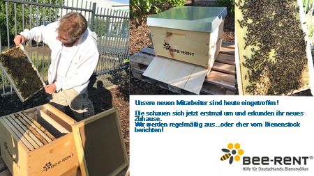 Bienenstock auf dem Firmengelände